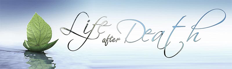 mozart-life-after-death