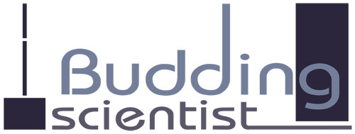 budding-scientist